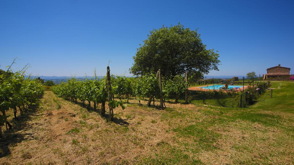 Вилла Tenuta Angelici Winery Casa Contea With Pool And Panoramic Pool Cortona Terontola Номер фото